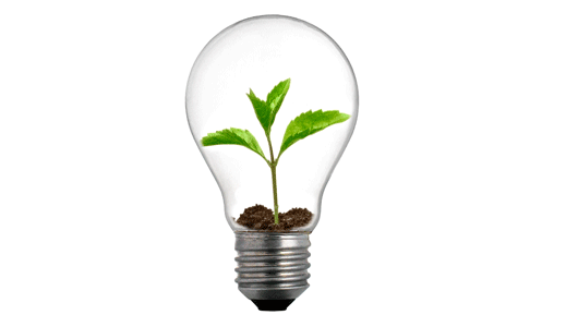 Business Growth