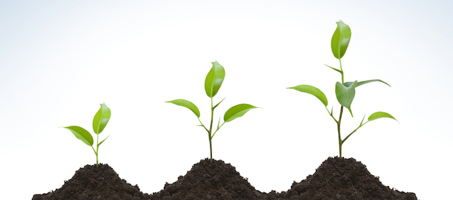 Business Growth