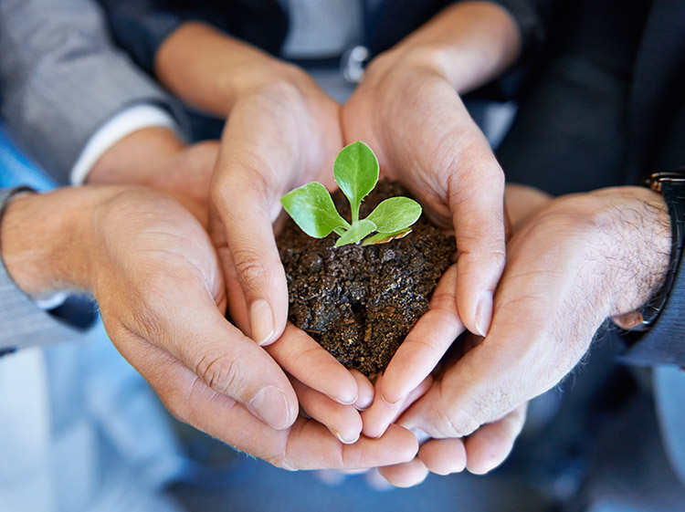 Business Growth