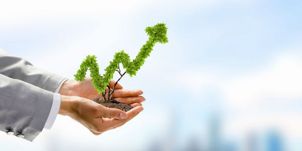 Business Growth