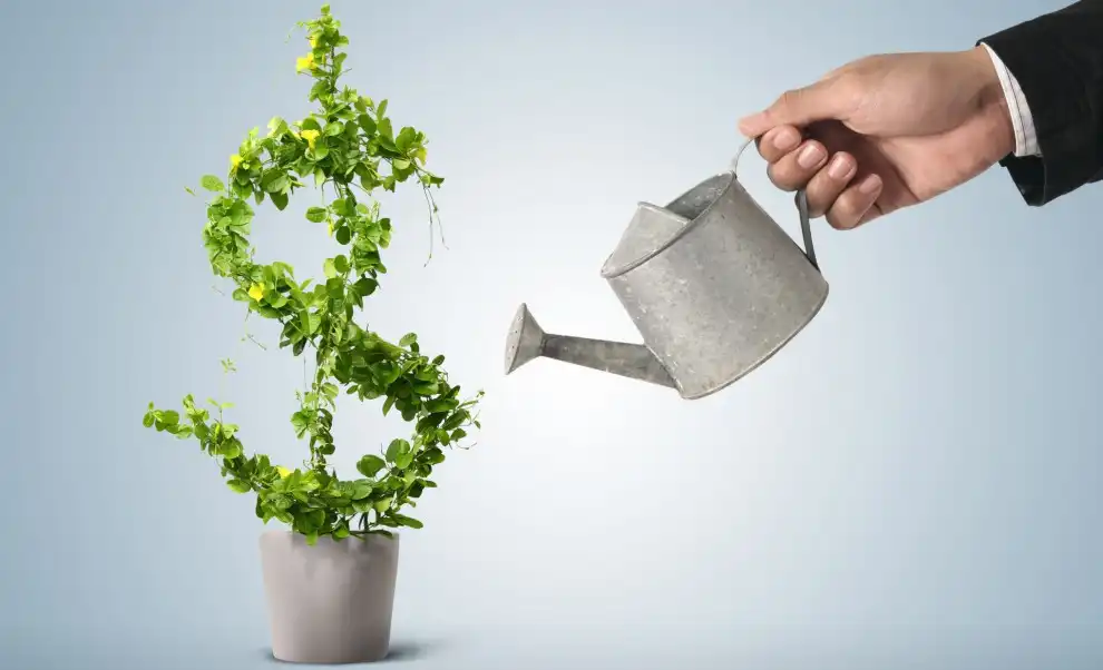 Business growth
