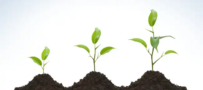 Business Growth