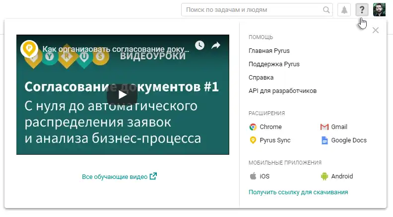 Интерфейс Pyrus