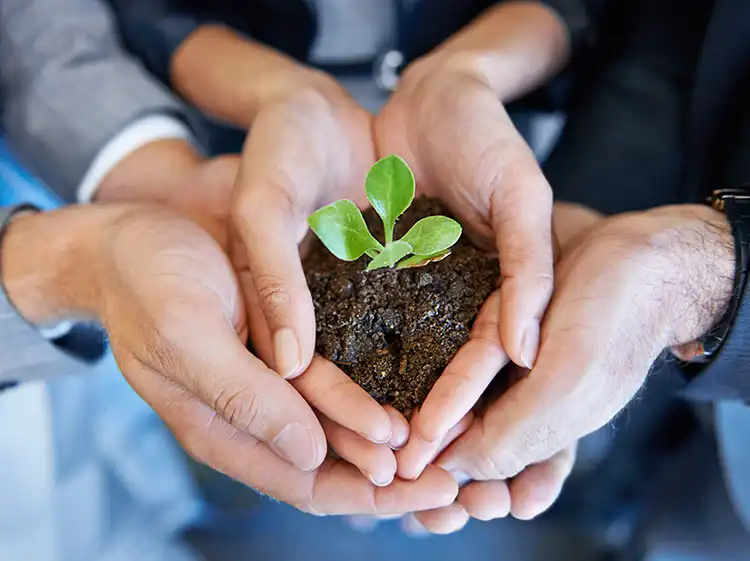 Business Growth