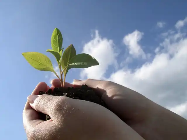 Cloud technology