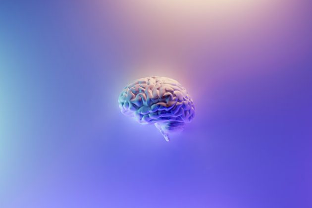 brain for cognitive heuristics